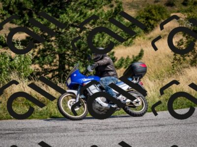 202508101132-DSC_4899_c2