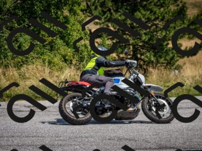 202508101201-DSC_5158_c2