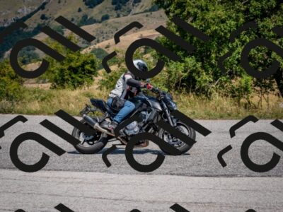 202508101212-DSC_5236_c2