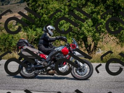 202508101215-DSC_5269_c2