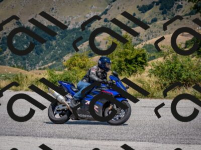 202508101216-DSC_5276_c2