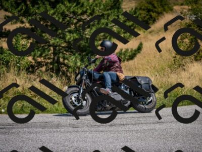 202508101218-DSC_5303_c2