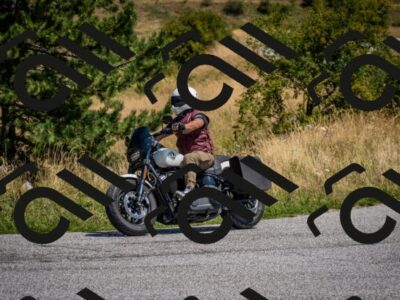 202508101218-DSC_5310_c2