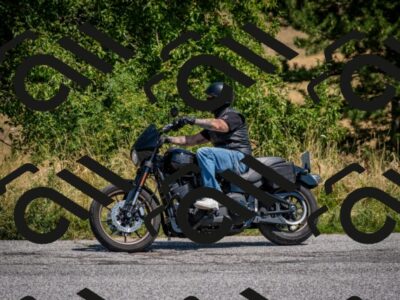 202508101218-DSC_5313_c2