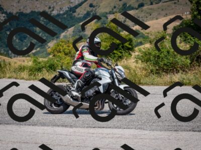 202508101233-DSC_5431_c2