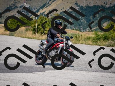 202508101238-DSC_5497_c2