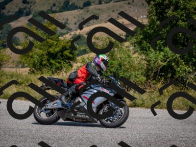 202508101238-DSC_5513_c2