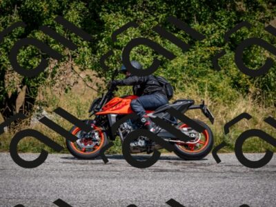 202508101245-DSC_5561_c2