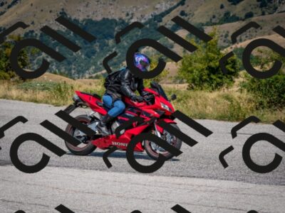 202508101246-DSC_5567_c2