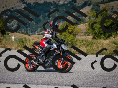 202508101255-DSC_5623_c2