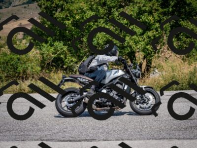 202508101258-DSC_5653_c2