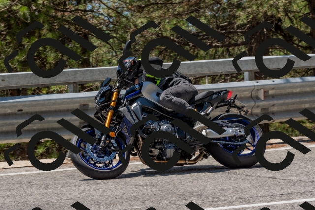 202508091259-DSC_2870_c4_