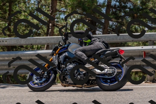 202508091259-DSC_2871_c4_