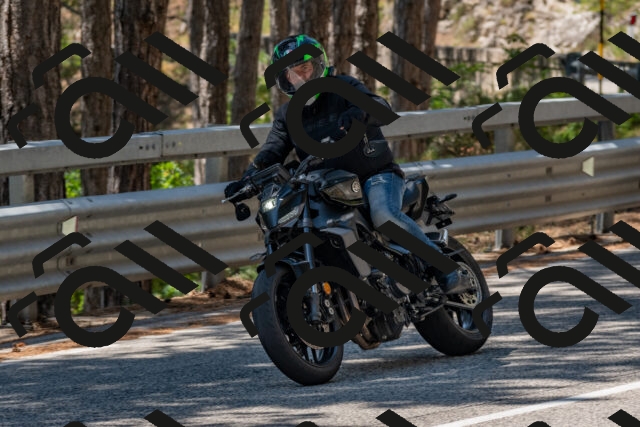 202508091300-DSC_2873_c4_