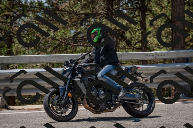 202508091300-DSC_2874_c4_