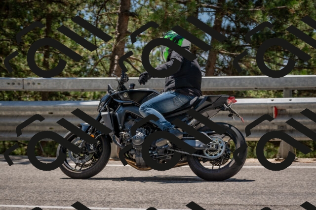 202508091300-DSC_2875_c4_