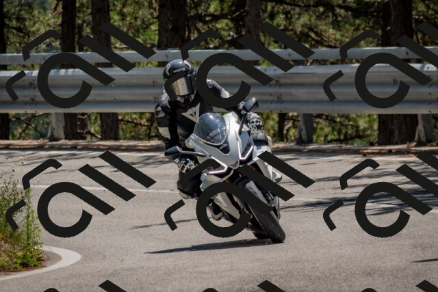 202508091300-DSC_2877_c4_