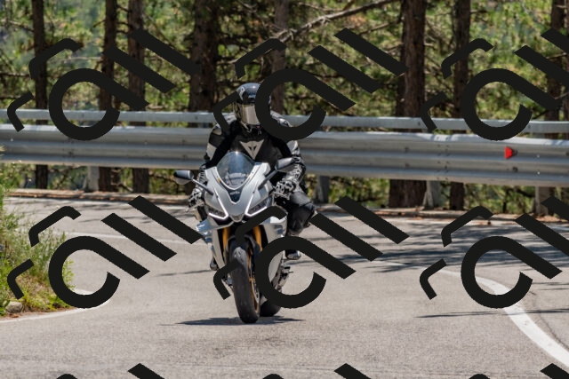 202508091300-DSC_2878_c4_