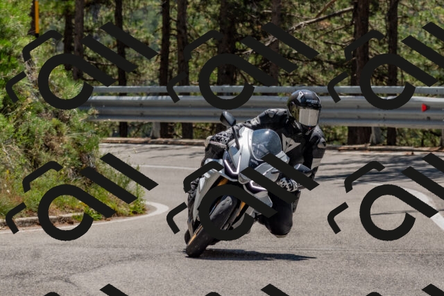 202508091300-DSC_2879_c4_