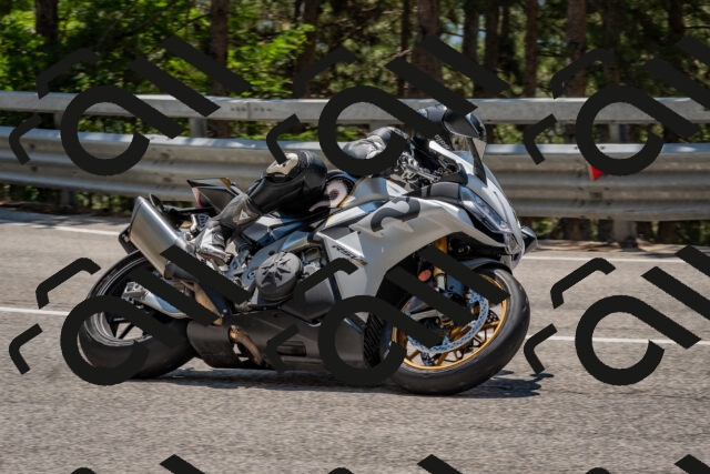 202508091300-DSC_2881_c4_