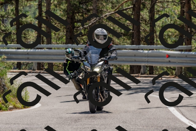 202508091301-DSC_2884_c4_