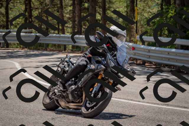 202508091301-DSC_2886_c4_