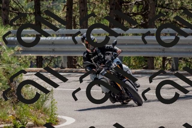 202508091302-DSC_2895_c4_