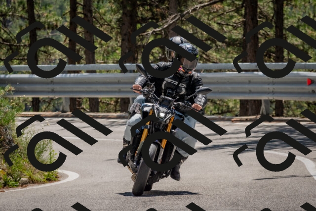 202508091302-DSC_2896_c4_