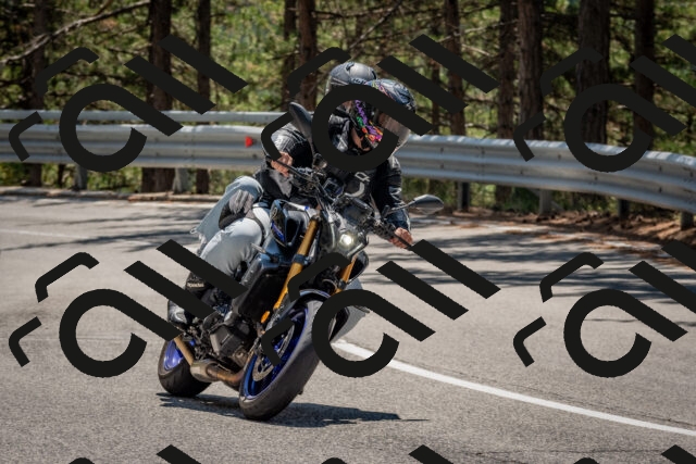 202508091302-DSC_2897_c4_