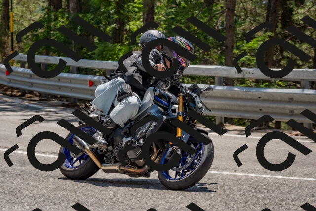 202508091302-DSC_2898_c4_