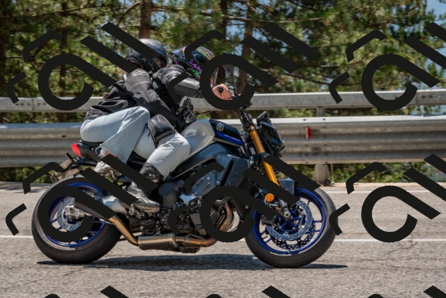 202508091302-DSC_2899_c4_