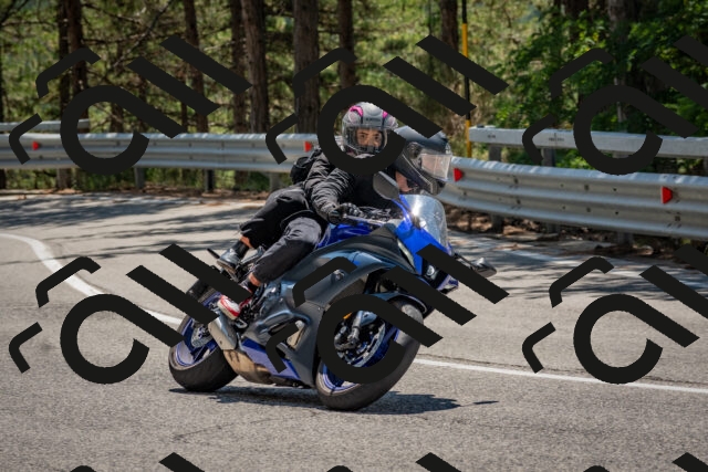 202508091302-DSC_2900_c4_