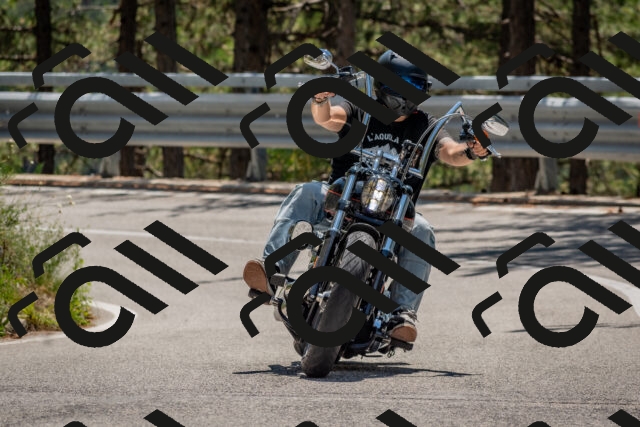 202508091303-DSC_2903_c4_