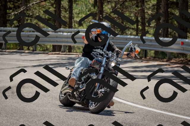 202508091303-DSC_2904_c4_