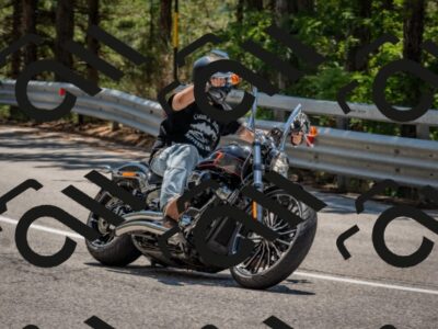 202508091303-DSC_2905_c4_