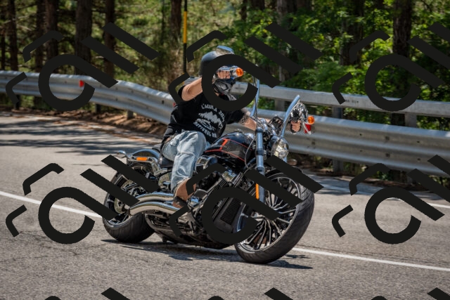 202508091303-DSC_2905_c4_