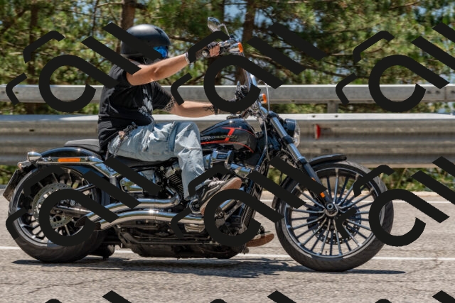 202508091303-DSC_2906_c4_