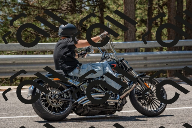 202508091303-DSC_2907_c4_