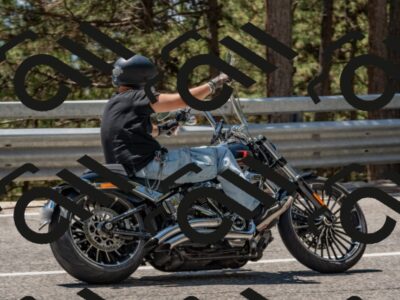 202508091303-DSC_2907_c4_