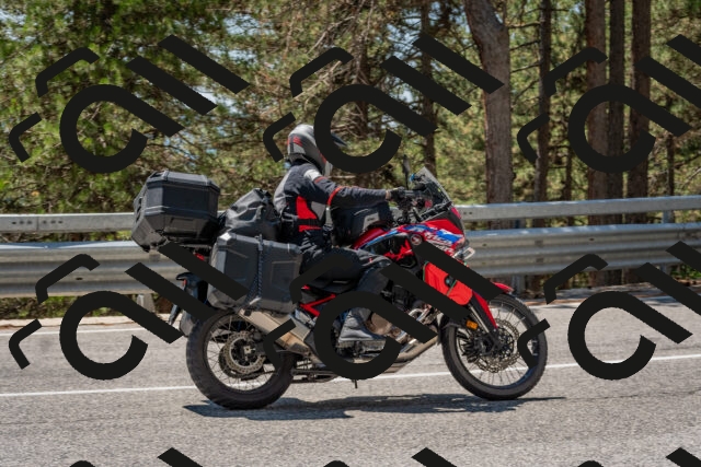 202508091305-DSC_2912_c4_