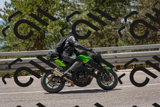 202508091305-DSC_2913_c4_