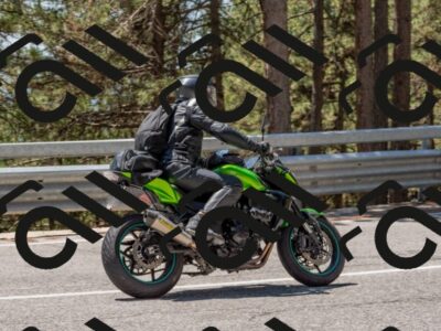 202508091305-DSC_2914_c4_