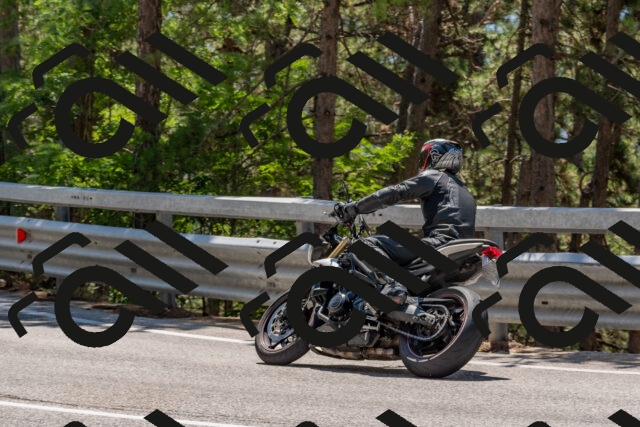 202508091305-DSC_2918_c4_