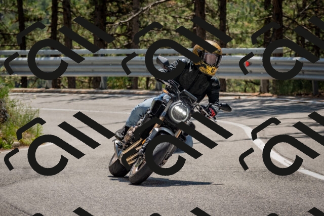 202508091306-DSC_2919_c4_