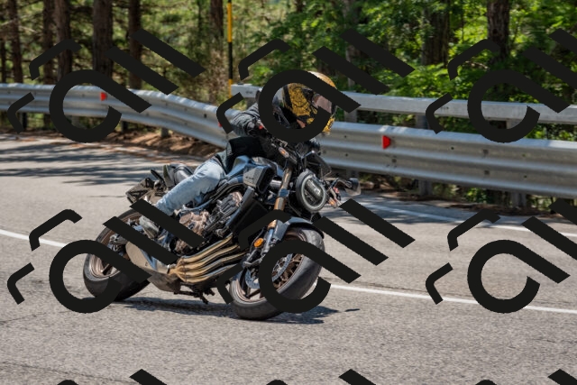 202508091306-DSC_2920_c4_