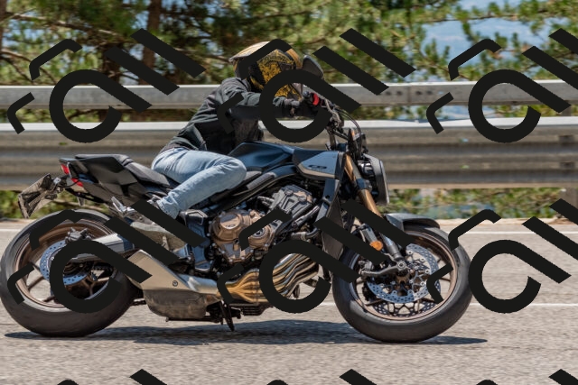 202508091306-DSC_2921_c4_