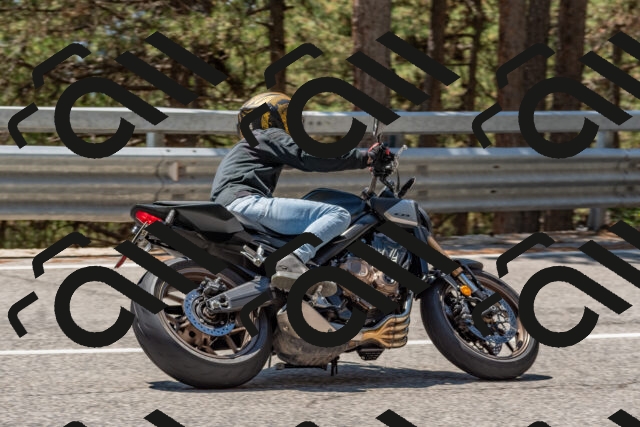 202508091306-DSC_2922_c4_