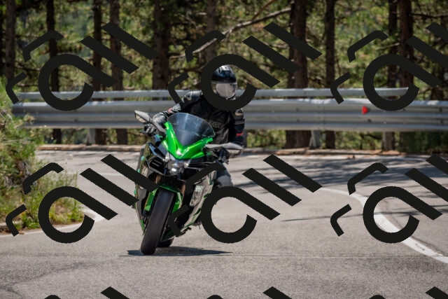 202508091307-DSC_2923_c4_