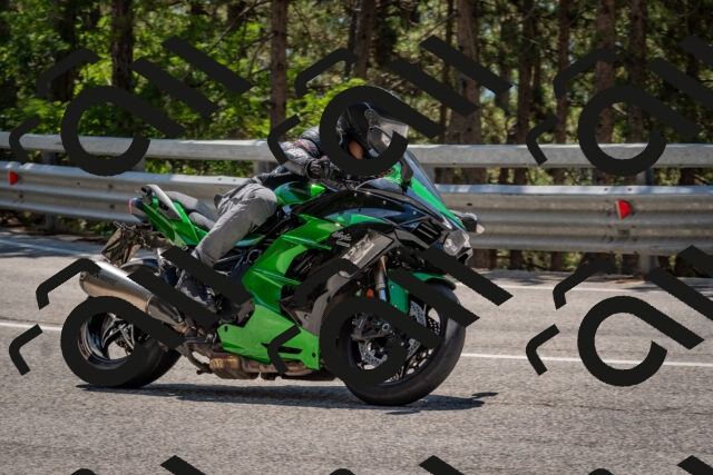 202508091307-DSC_2925_c4_