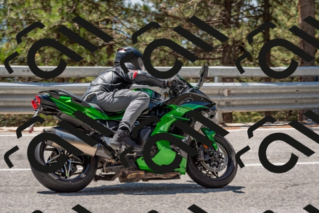 202508091307-DSC_2926_c4_